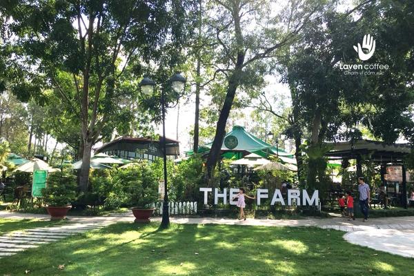 The Farm Garden về chiều cực chill